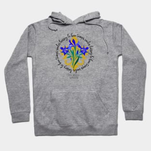 Laissez Le Bon Temps Rouler Mardi Gras Hoodie